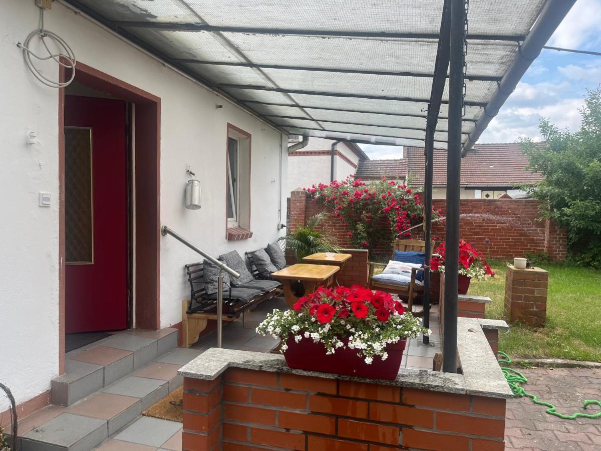 Kahnstuebchen Mit Neuem Innenhof Garten Lübben المظهر الخارجي الصورة