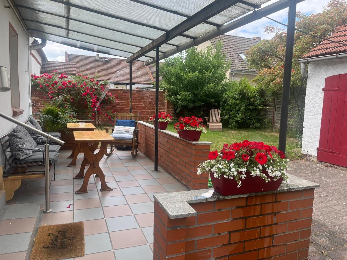 Kahnstuebchen Mit Neuem Innenhof Garten Lübben المظهر الخارجي الصورة